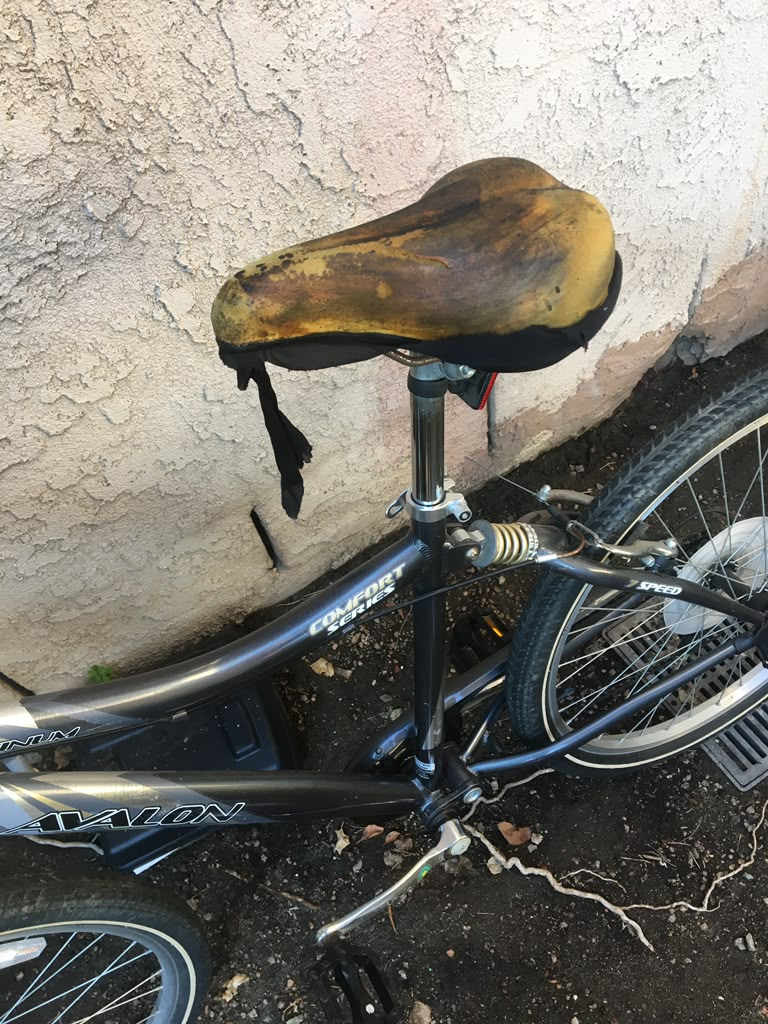 Getting to every appointment by bike, rain or shine.